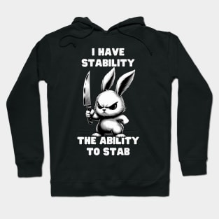 I Have Stability Hoodie